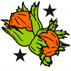 "Noisettes étoilées" du Deux de Pique